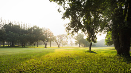 Scenery green garden and meadow in morning, Wonderful sunbeam at the natural park, Scenery fairway...