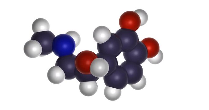 3d chemical structure of adrenaline molecule, epinephrine - neurotransmitter, catecholamine and adrenal gland hormone, rendered as footage with transparent background (alpha channel), spinning.