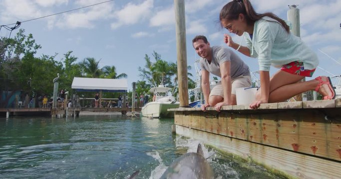 Tarpon feeding in the Keys in Florida. couple having fun on vacation travel feeding big tarpons fish jumping out of water - tourist vacation activity in the Florida Keys. shot in SLOW MOTION ON RED