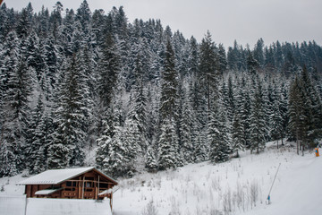 Obraz na płótnie Canvas house in winter forest