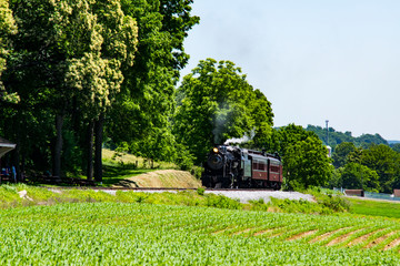 Fototapeta premium Steam Passenger Train Pulling into Picnic Area