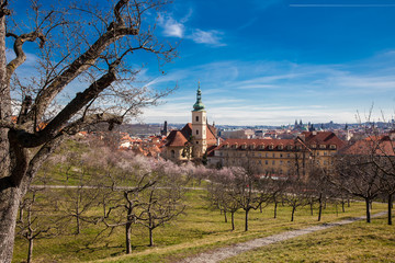 Naklejka premium Prague city seen from the Petřín Gardens at the begining of spring