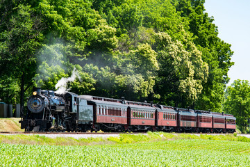 Steam Passenger Train Pulling into Picnic Area