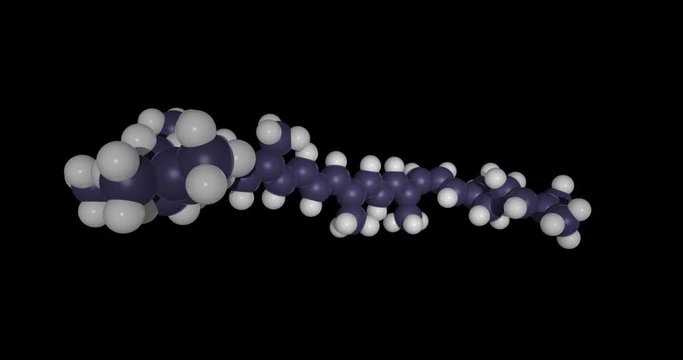 3d chemical structure of lycopene molecule, carotenoid antioxidant, rendered as footage with transparent background (alpha channel), tumbling in infinite seamless loop in 4K, UHD, 2160p resolution.
