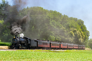 Fototapeta na wymiar Steam Passenger Train Pulling into Picnic Area