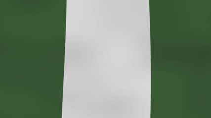 nigeria flag