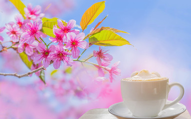 Abstract cup of latte coffee with soft blurred wild himalayan cherry, Cherry flower, Sakura fower of Thailand with the beam light and lens flare effect tone background.