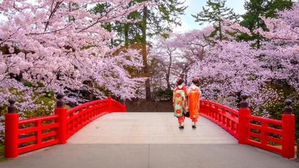 Photo sur Aluminium Japon Geisga japonaise avec Sakura en pleine floraison - Fleurs de cerisier au parc Hirosaki, Japon