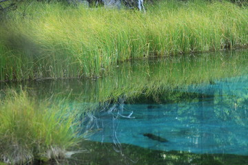 lake in the deep forest