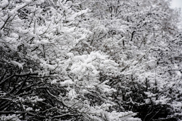 Snowscape of West Lake in Hangzhou