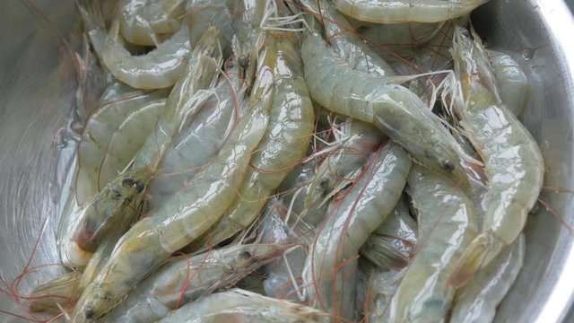Top down view of raw unshelled shrimp in 4k. Metal bowl rotates slowly full of freshly caught uncooked shrimp purchased from a seafood market. Closeup represents global overfishing and healthy diets.