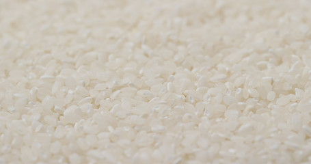 White uncooked rice