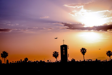 Naklejka premium Los Angeles, California, America, Beach, Surf, palm trees, 