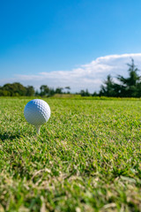 ゴルフボール ティーアップ