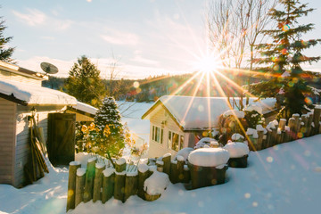 Home for the holidays