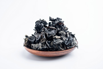 Black fungus on white background