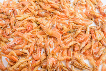 Dried red shrimp / shrimp on white background