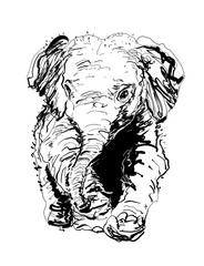 elephant baby hand drawn illustration,art design