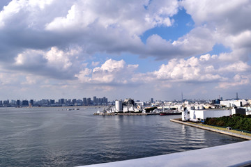 Fototapeta premium 東京湾と東京スカイツリー