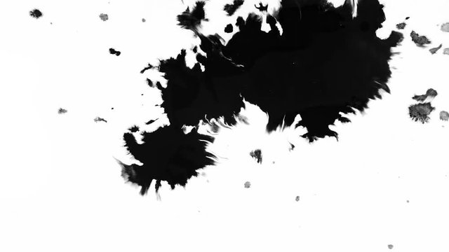 Paint spilled on a white background. File contains alpha channel.