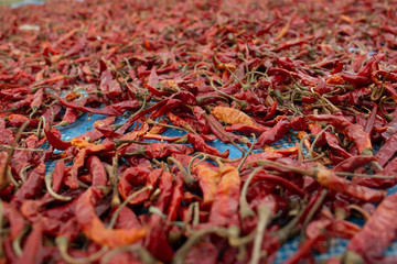 Naklejka premium red hot chili peppers