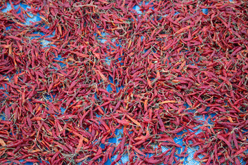 Fototapeta premium red hot chili peppers