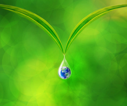 Earth in water drop reflection under green leaf, Together We Can Save Our World Concept, Elements of this image furnished by NASA