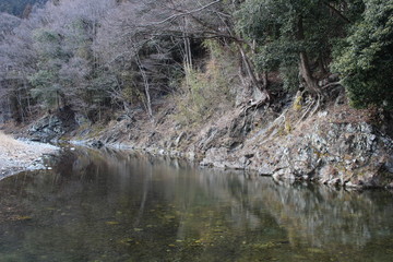 下仁田ジオパーク（大桑原の褶曲）
