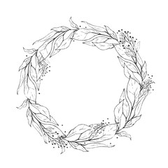 Sketch wreath plant leaves, drawing nature set. Graphic floral botanical line painted herb.