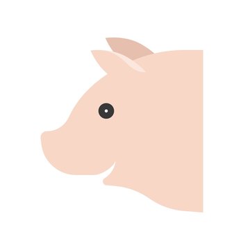 Pig head vector, Farm animal flat style icon