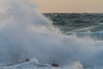 冬の三浦半島荒崎海岸