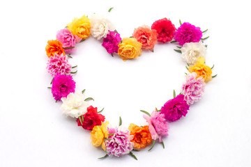 Concept arrange Portulaca flower to the heart shaped isolated on white background.