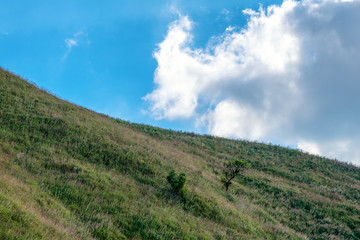 Fototapeta na wymiar Landscape image of greenery rainforest hill with blue sky background