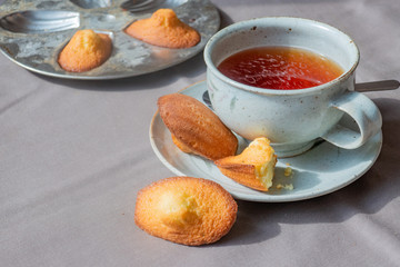 Cup of tea with Golden homemade Madeleines cakes with crumbs and baking mold