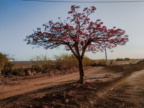 Paisagem na Bahia