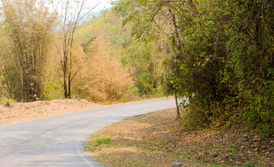 Road in the rice field of thailand