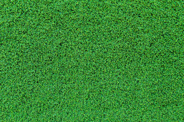Fototapeta premium Green artificial grass. Background concept.