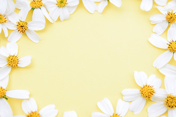 Fototapeta na wymiar Spring beautiful white flowers poster background material / white flower