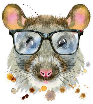 Watercolor portrait of rat with big black glasses