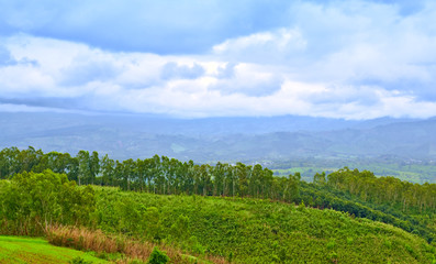 Fototapeta na wymiar Panorama view of grassland and mountians with cloudy sky