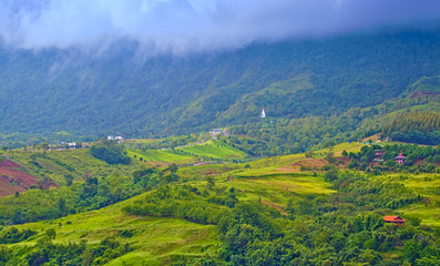 Obraz premium rural landscape of a valley with green field and trees on hills