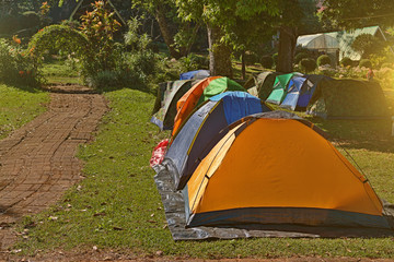 tent at camping site in forest