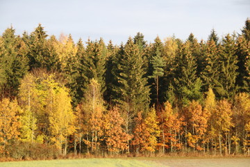 Landschaft im Herbst, Herbstmotiv