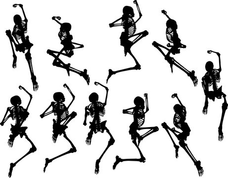 骸骨 Images Browse 3 798 Stock Photos Vectors And Video Adobe Stock