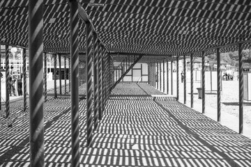 canopy, beach, black and white