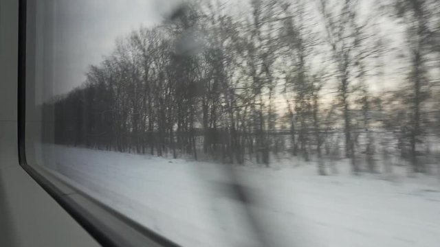 Winter view from train window. Belarus, Minsk - Gomel train