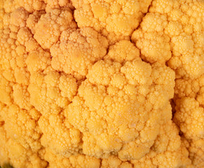 orange cauliflower in studio