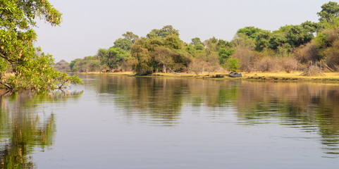 Fototapeta na wymiar idyllische Fluss-Landschaft, Okavango Delta, Botswana