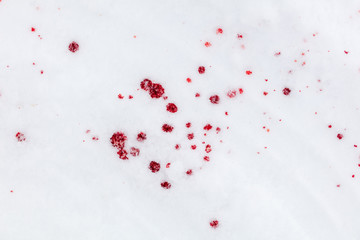 Red blood on white snow as a background