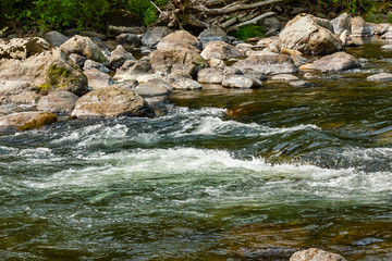 white water rapids along the boulder filled shore of green river